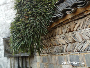 古墙垂绿 尽显中式韵味