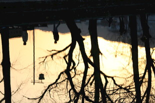 冬日屋檐下悬挂的冰柱