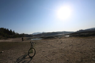 户外骑行的开阔风景