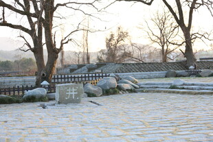 雪覆庭院 静谧冬日景象