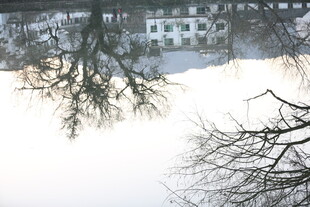 冬日雪景中的建筑与树木
