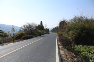 蜿蜒公路旁的自然景致