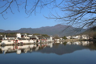 江南水乡湖畔宁静景致