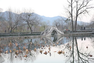 冬日湖景残荷石桥映远山