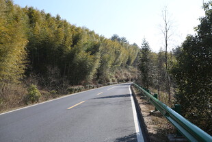 山间公路 绿意环绕的风景