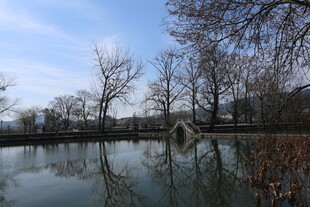 冬日湖畔静谧景致