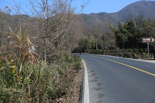 山间公路风景