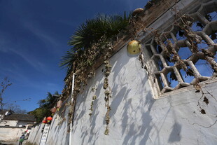 古老斑驳墙面与蓝天绿植