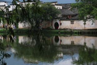 江南水乡静谧池塘景致