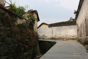 古巷幽径 尽显中式村落风情