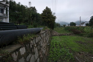 乡村石墙边的田园景致