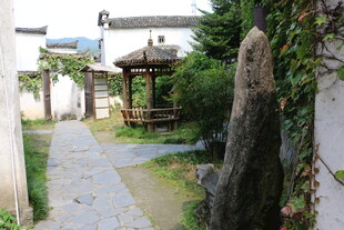 中式庭院小径与雅致景致