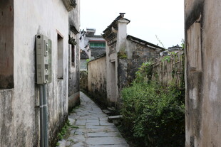 古巷幽径 尽显岁月韵味