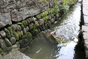 石缝间流淌的潺潺溪水