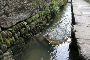 石缝间潺潺流淌的清澈小溪
