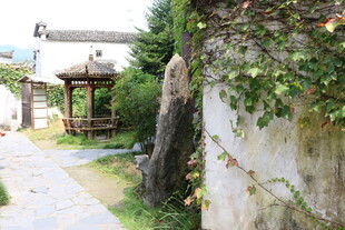 古巷中的雅致景致