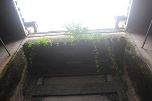 室内绿植装点的楼梯空间