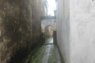 狭窄小巷中的静谧景致