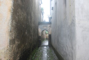 狭窄小巷中的静谧景象