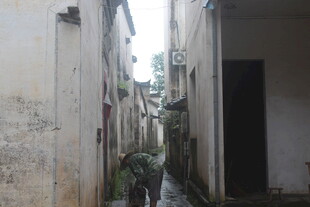 狭窄小巷中的静谧景象