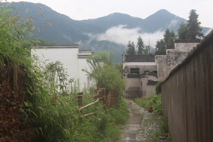 山间村落小径 静谧之景