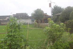 乡村田园风光景致