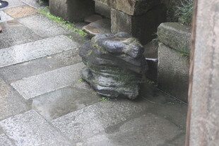 古朴庭院中的奇特石雕