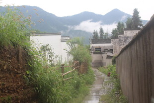 山间村落小道 自然景致