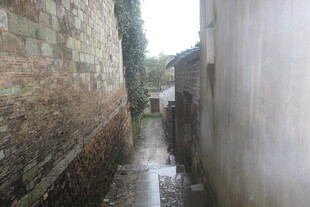 狭窄小巷 雨后静谧景象