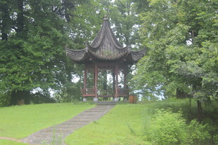 林间古亭 绿意环绕的景致