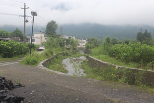 山间蜿蜒小路与葱郁景致