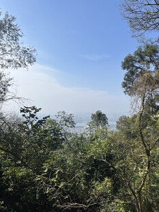 山林间的蓝天绿树景致