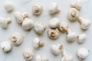 白蘑菇