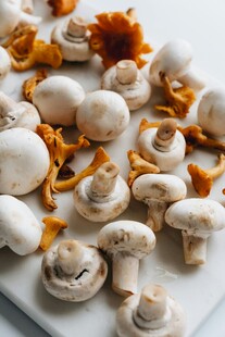 新鲜蘑菇