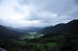 山间云雾缭绕的绿野风光