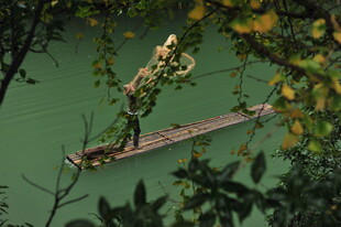 木筏上的人置身绿意之中