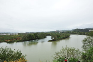 河畔风光 绿意盎然的水域