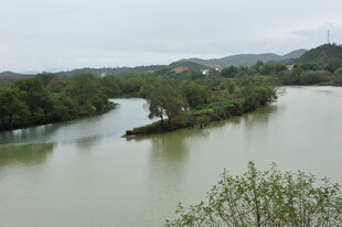 蜿蜒河流旁的葱郁景致