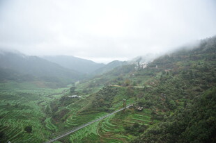 山间绿野 蜿蜒公路美景