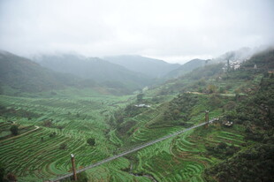 山间绿野 云雾缭绕美景