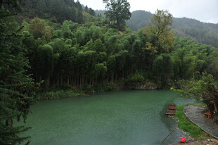 青山绿水间的清幽河谷