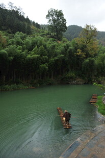 河中牛行 青山绿水之景