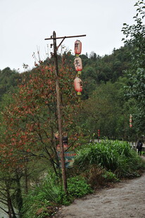 山间路旁的中式指示标牌