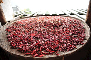 圆盘上晾晒的红辣椒