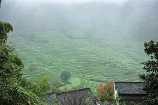 山间雾绕村落美景