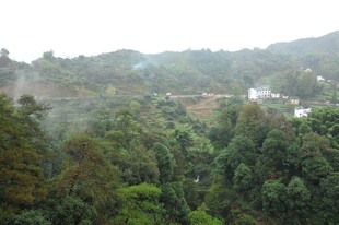 山林云雾缭绕的自然景致