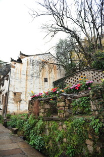 古巷老宅 绽放别样生机