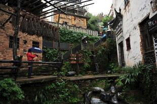 古巷小院的静谧景致