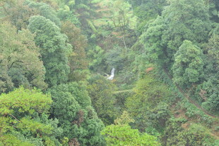 山间翠绿中的隐秘瀑布