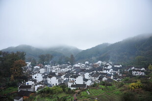 雾中白墙黑瓦的山村美景